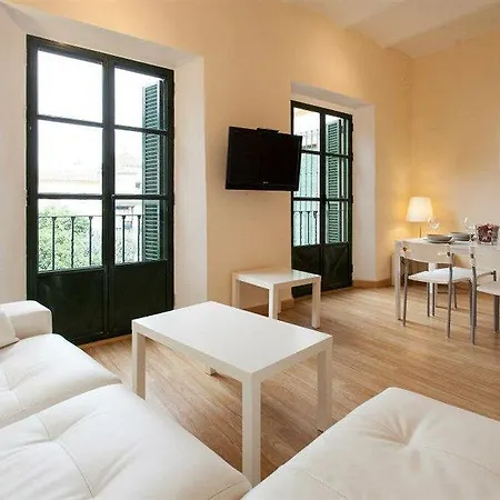 Apartamento Plaza De Santa Cruz